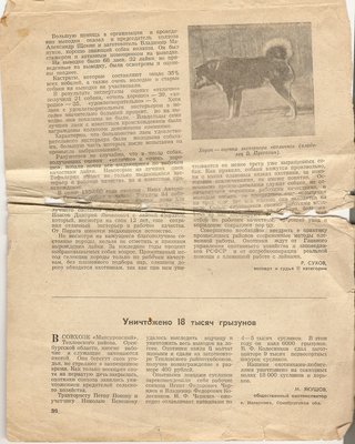 сканирование0022.jpg