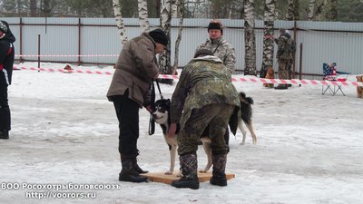 20150228_164906.jpg