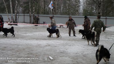 20150228_164535.jpg