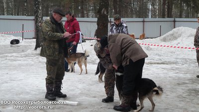 20150228_161714.jpg