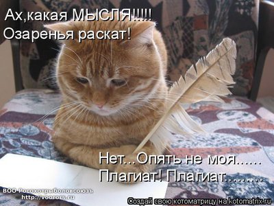 пл.jpg