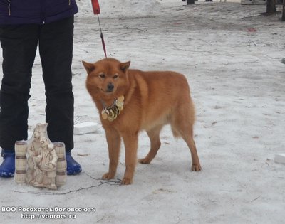 кст5.JPG