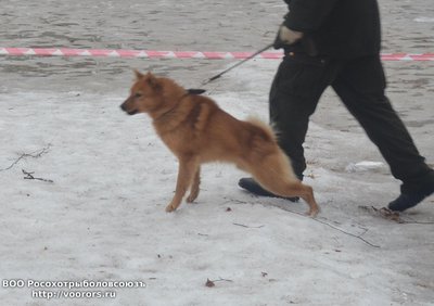 кст4.JPG