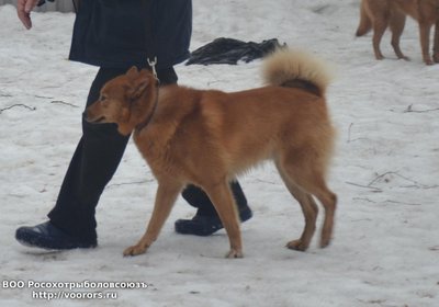 кс3.JPG