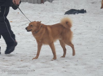 кс2.JPG