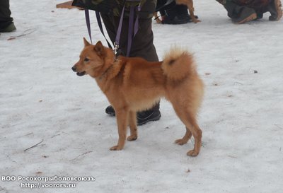 кс1.JPG