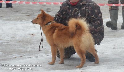 км2.JPG