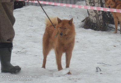 км1.JPG