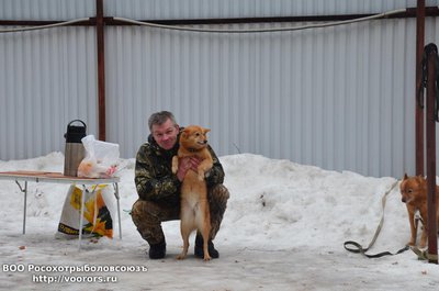 DSC_3391.JPG