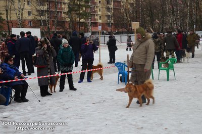 DSC_3404.JPG