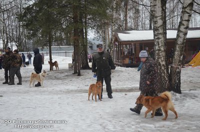DSC_3407.JPG