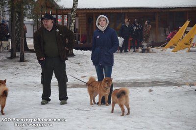 DSC_3433.JPG