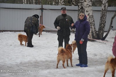 DSC_3585.JPG