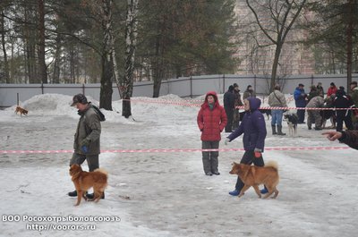 DSC_3599.JPG
