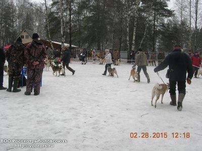 DSCN1026.JPG