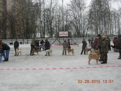 DSCN1038.JPG