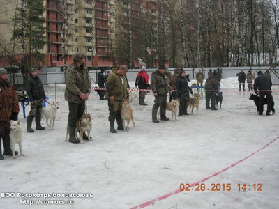 DSCN1041.JPG