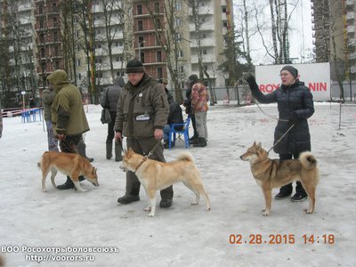 DSCN1044.JPG