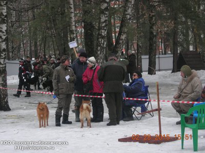 DSCN1062.JPG