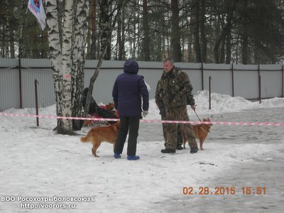 DSCN1063.JPG