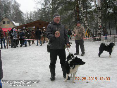 ол.JPG