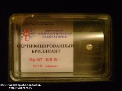 DSC04865.JPG