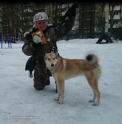 Снимок.JPG