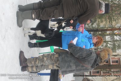 IMG_6528.JPG