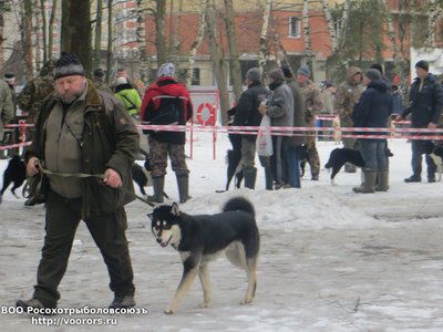 IMG_4886.JPG