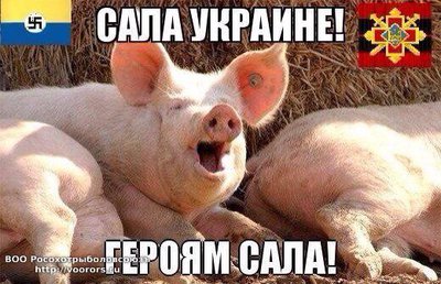 сал.jpeg