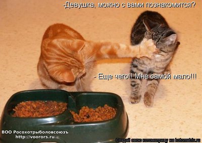 мало.jpg