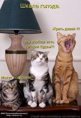 жр.jpg