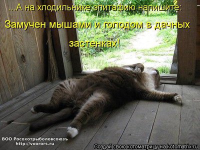 голод1.jpg
