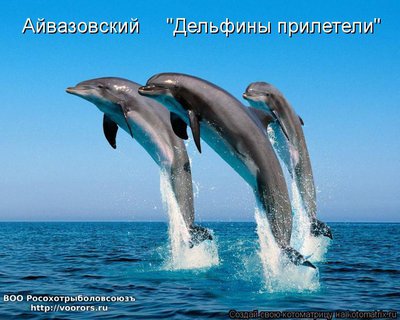 дель.jpg