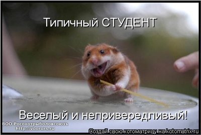 ст.jpg