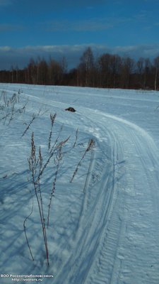 DSC_0056.JPG