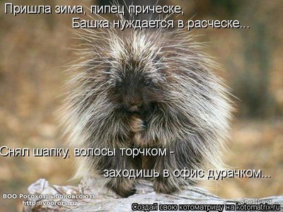 баш.jpg