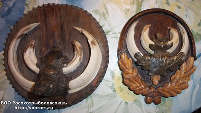 20150308_182927.jpg