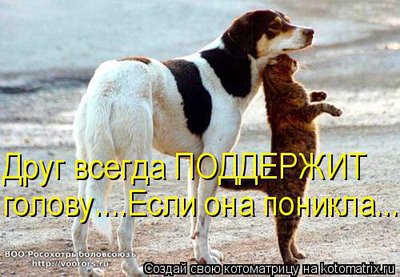 под.jpg