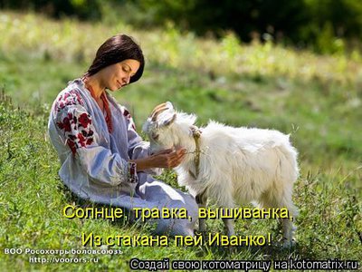 выш.jpg