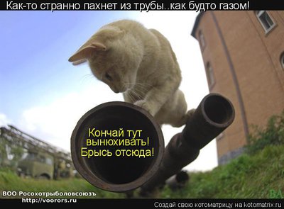 газ.jpg