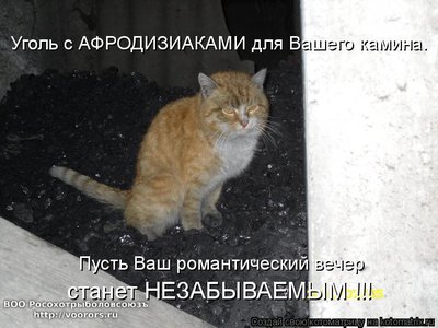 уг.jpg