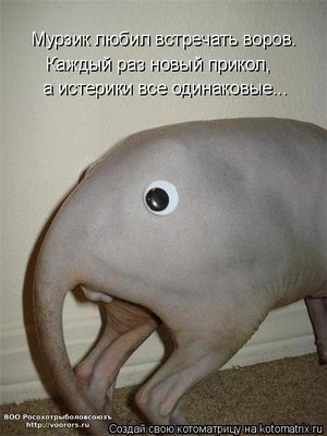 ис.jpg