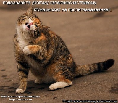 уб.jpg