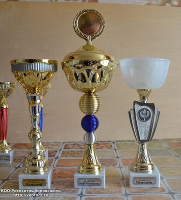 Чемпионы и приз Никифорова.JPG