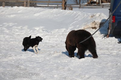IMG_4695.JPG
