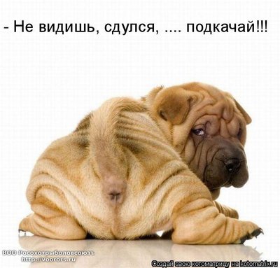 беня.jpg