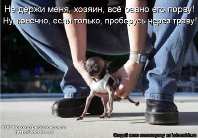 дер.jpg