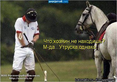 ут.jpg