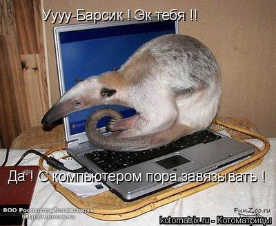 пора.jpg